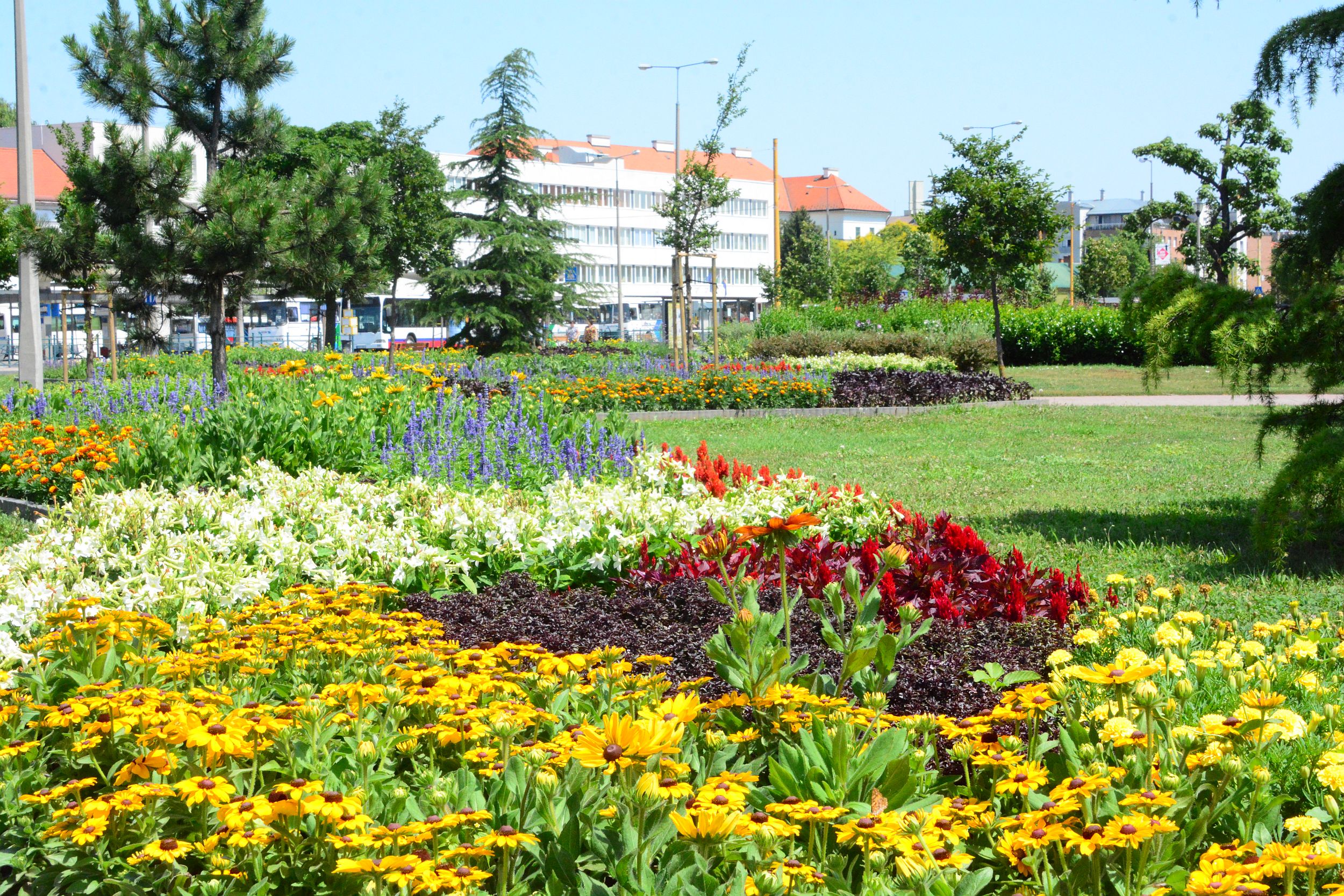 Virágos Magyarország - Székesfehérvár lett az Év települése a régióban